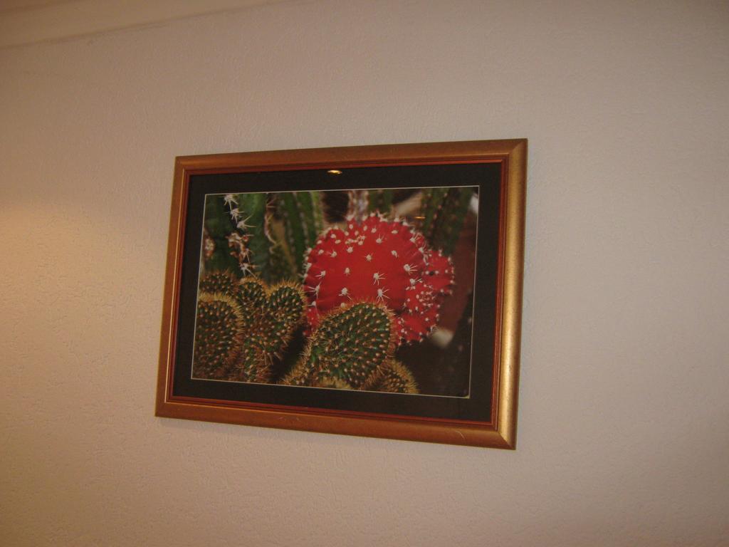 Apartment Vistanova Rednek Szoba fotó