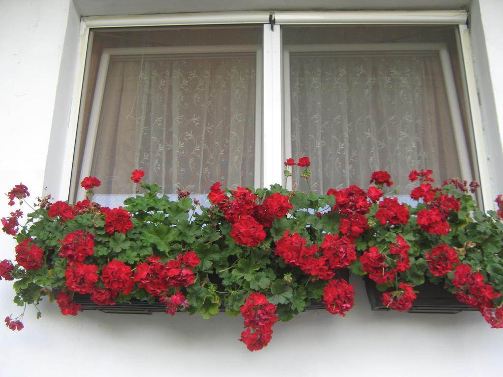 Apartment Vistanova Rednek Kültér fotó